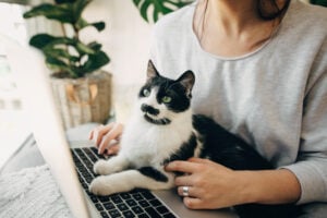 woman and cat with laptop