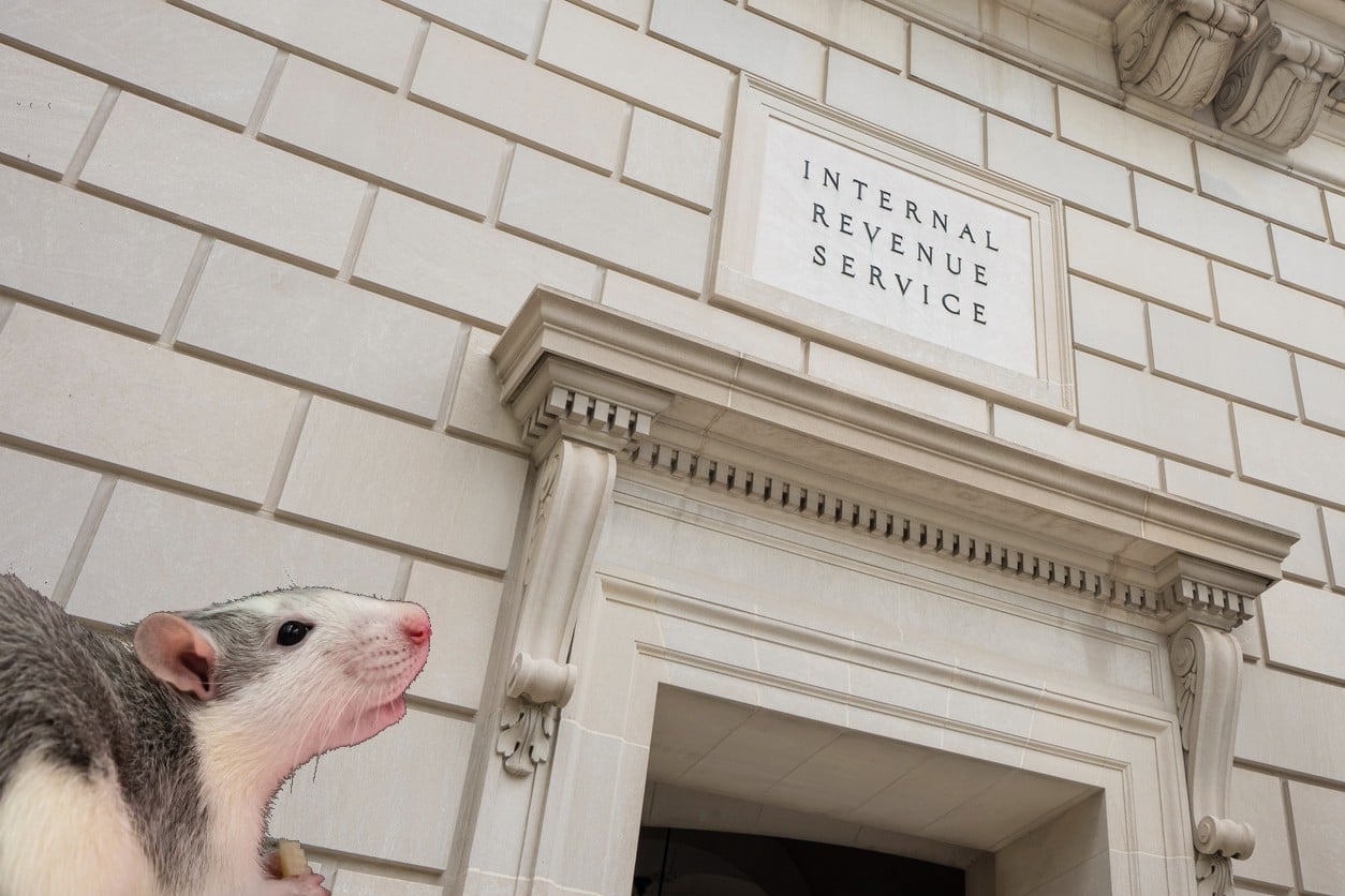IRS office with a rat