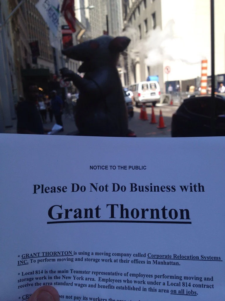 a rat in NYC